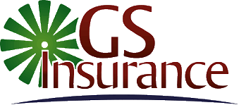 gs insurance
